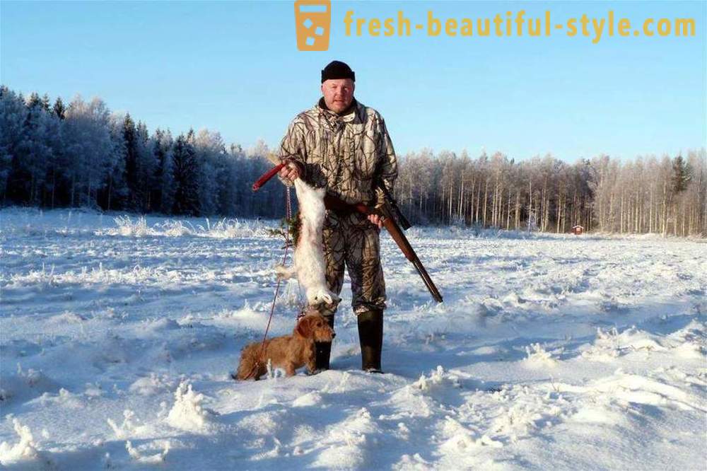 Зимни лов, когато се отваря сезона, съвети за начинаещи, особено оборудване