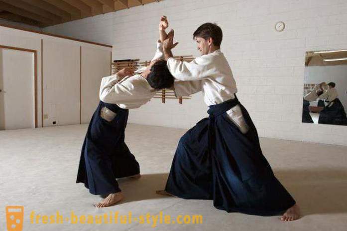 Японските видове бойни изкуства: описанието, характеристики и интересни факти