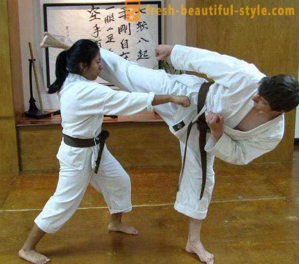 Японските видове бойни изкуства: описанието, характеристики и интересни факти