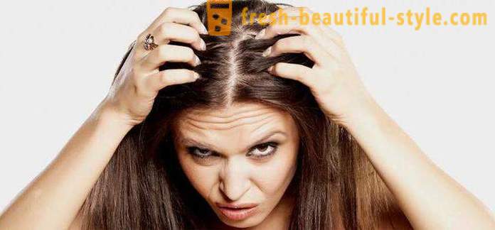 Защо бързо zhirneyut коса? Възможни причини, характеристики и методи за лечение на