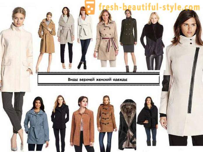 Видове облекло - описание на най-добрите комбинации и препоръки стилисти