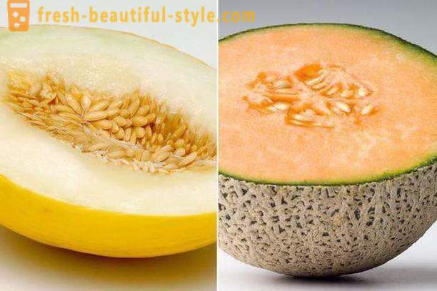 Melon диета за отслабване менюта, ревюта