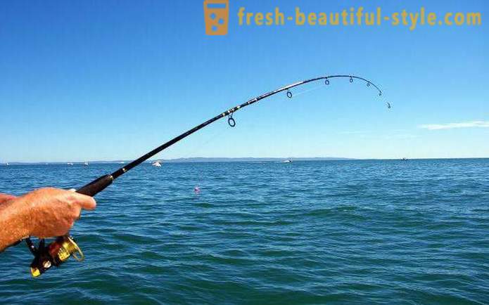 Риболов в Syzran: най-добрите места и хапане прогноза