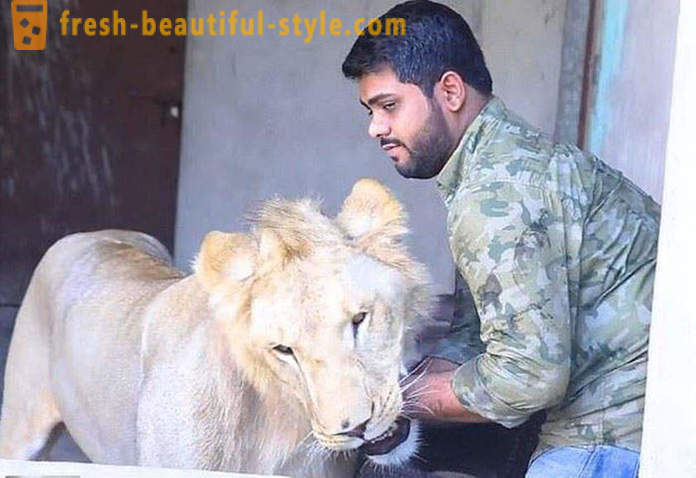 Двама братя от Пакистан донесоха лъв на име Simba