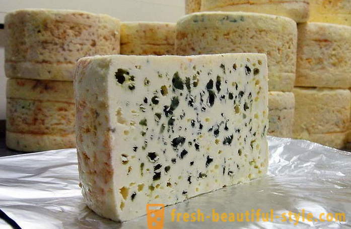 Производствения процес на френското сирене Рокфор от стари рецепти за