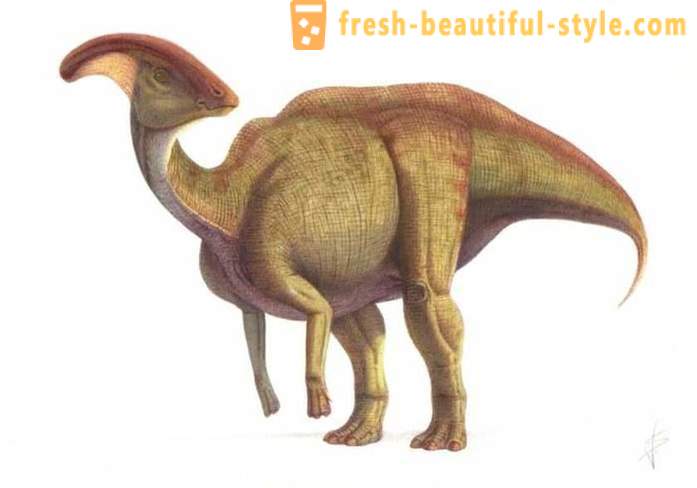 Уникални находки, свързани с динозаврите