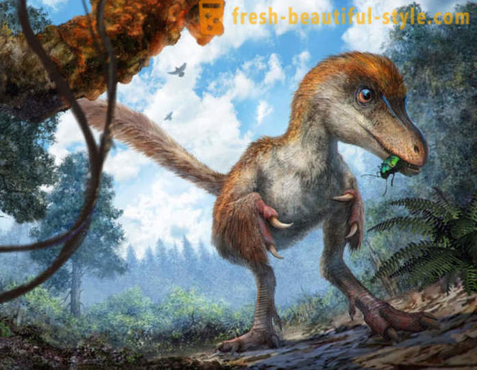 Уникални находки, свързани с динозаврите