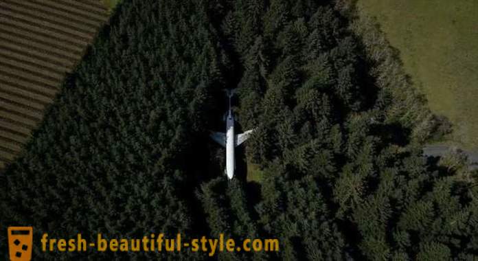 Американски, 15 години от живота в самолет в средата на гората
