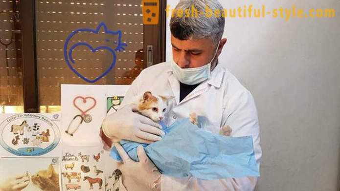 Мъжът остана в разкъсваната от война Aleppo да се грижи за изоставени животни
