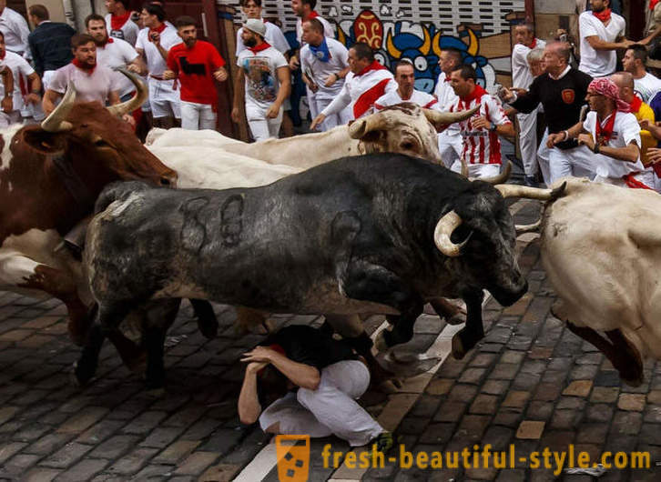 Как беше годишния управлението на бикове в Памплона, Испания