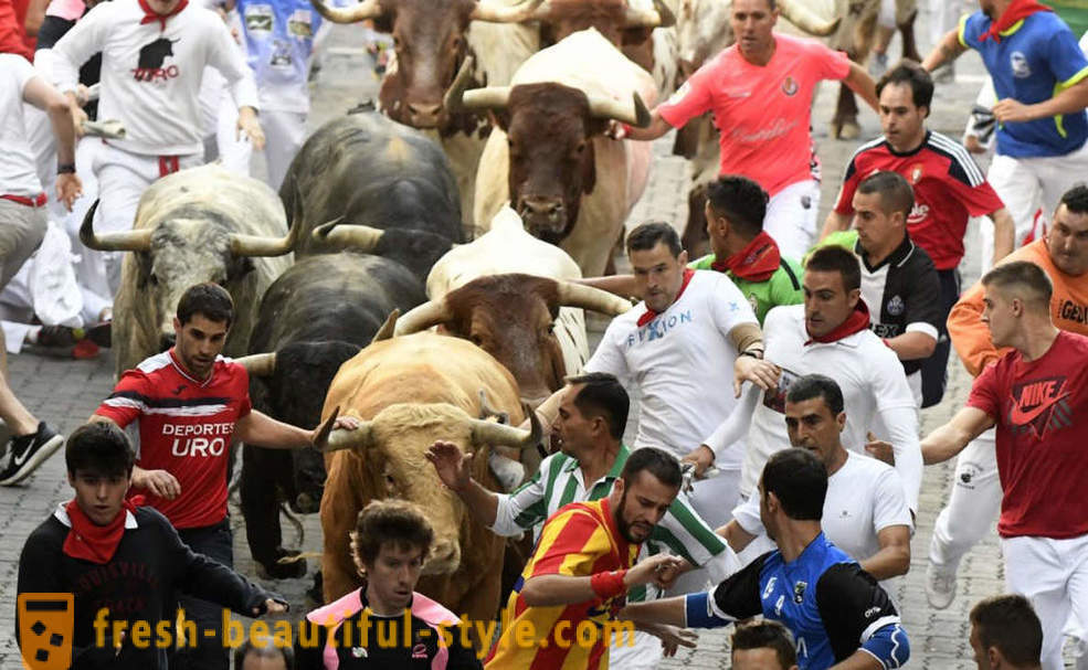 Как беше годишния управлението на бикове в Памплона, Испания