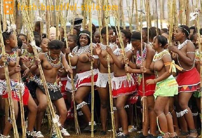 Holiday тръстика и девственици парад в Свазиленд