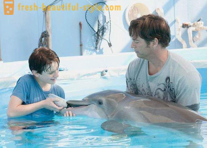 Селекция от филми за делфини