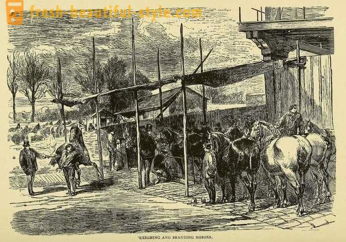 Жителите са живели на Париж по време на обсадата на града