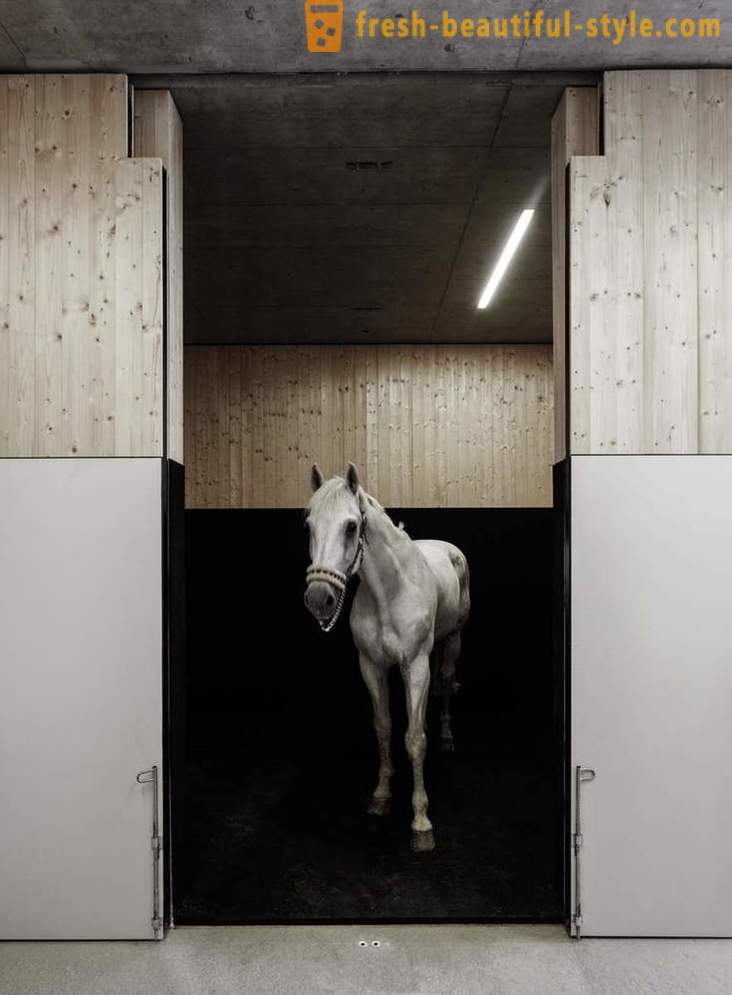 Проектиране на ветеринарната клиника за коне в Австрия