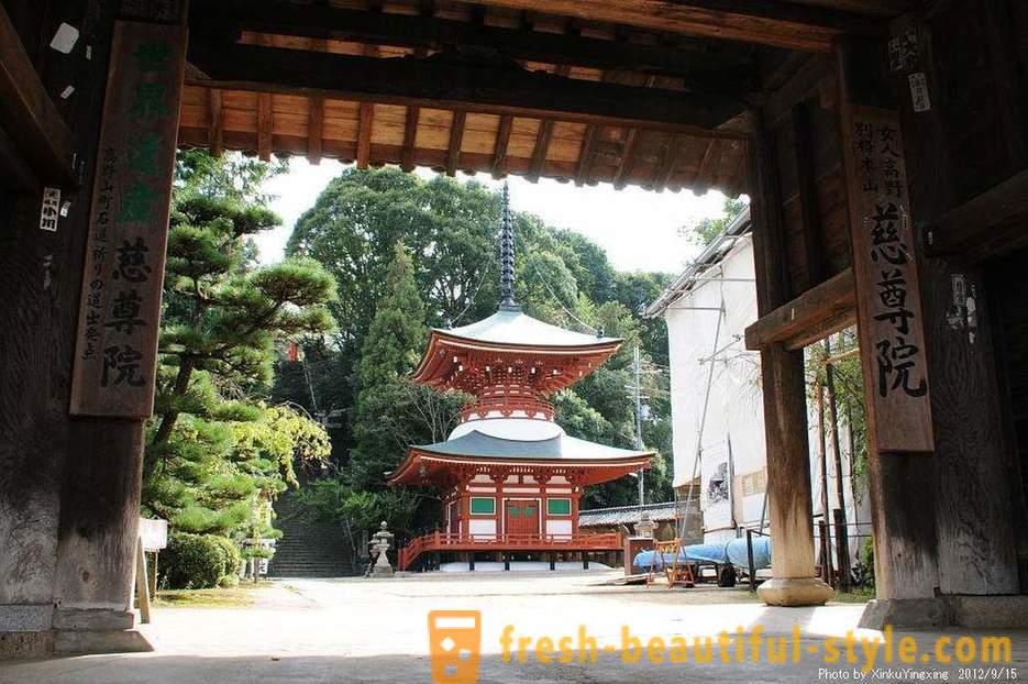 В Япония има храм, посветен на женските гърди, и това е добре