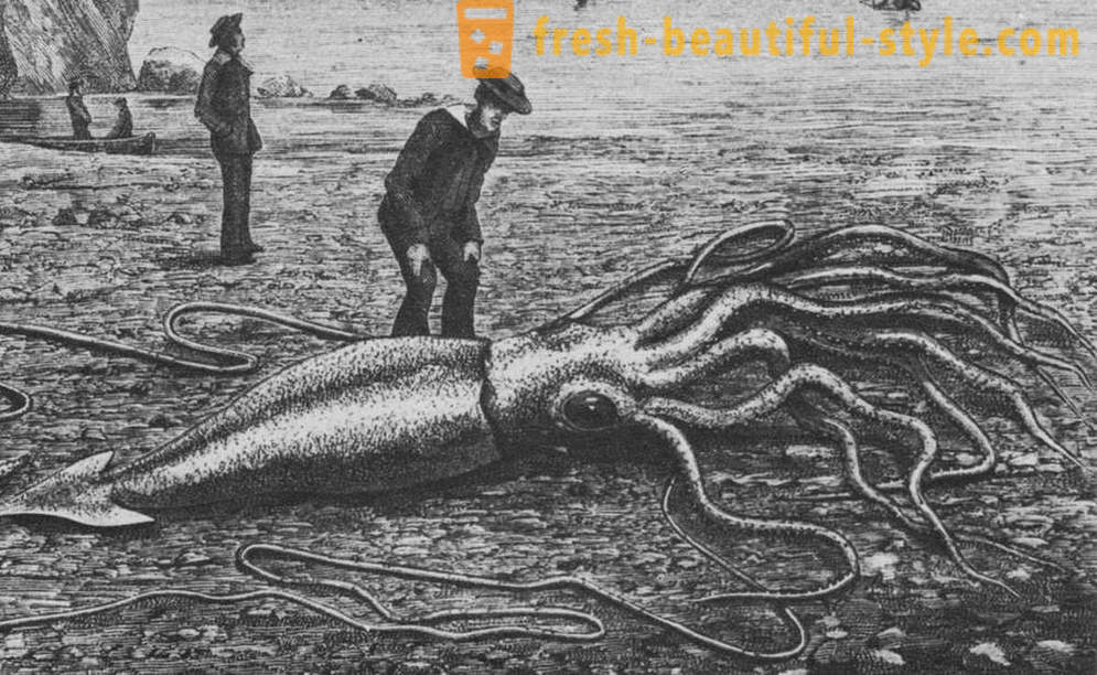 Kraken: истинският ужас от дълбините