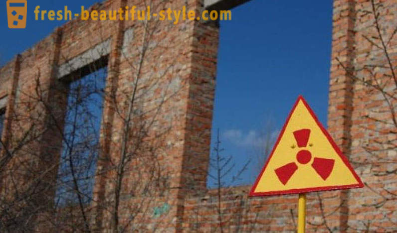 Ядрена кош: какво расте в Чернобил