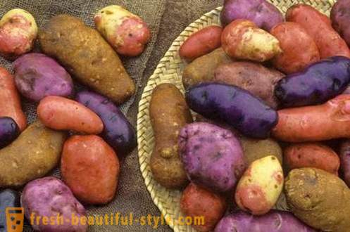 Какво трябва да знаем за всеки картоф