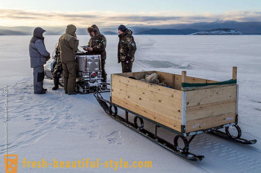 Как rybinspektory на Байкал