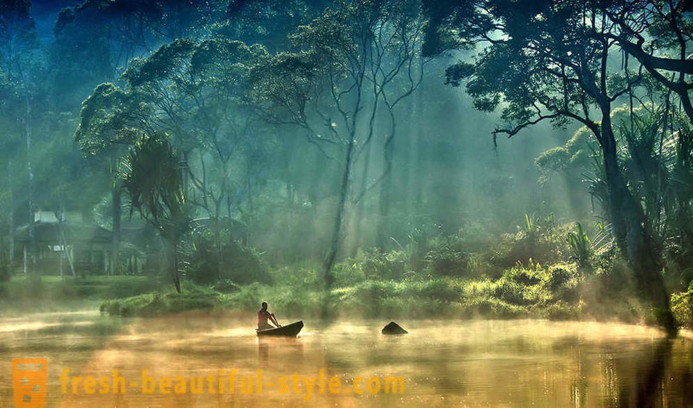 Amazon - природно чудо на света