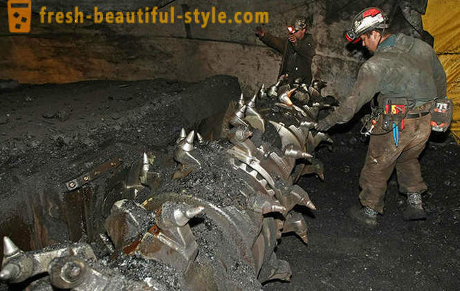 Въглища - древен подземен завод