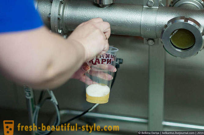 Как да си направим бира на територията Алтай