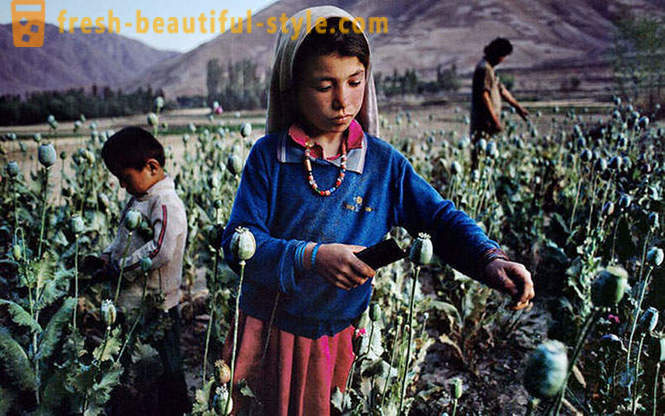 Афганистан през призмата на Стив Mc Къри