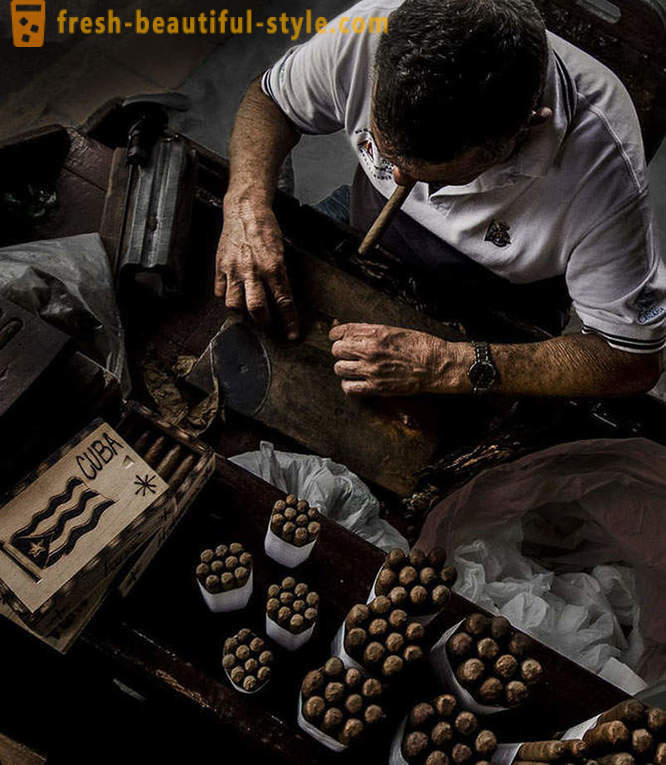 Процесът на създаване на най-доброто от кубински пури