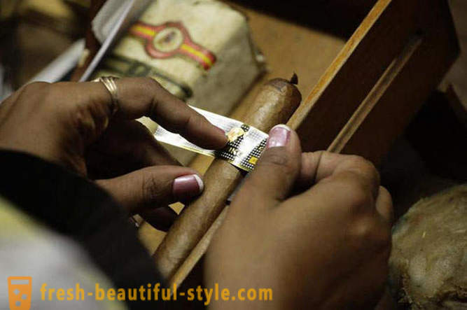 Процесът на създаване на най-доброто от кубински пури