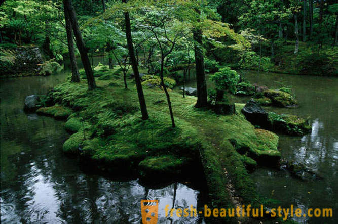 Мос градина в Япония