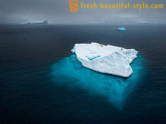 Най-добрите снимки от 2012 National Geographic