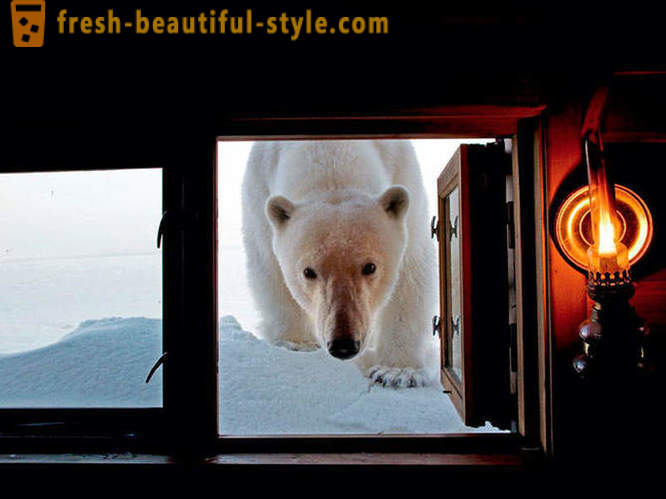 Най-добрите снимки от 2012 National Geographic