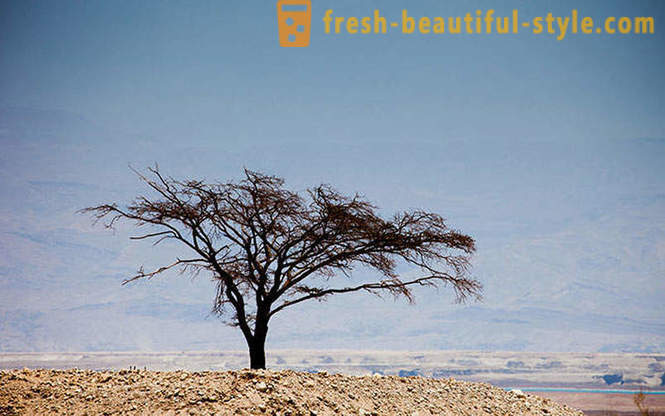 Мъртво море в Израел