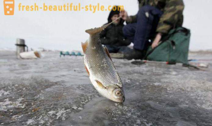 Риболов в Ханти-Мансийск. Река Ханти-Мансийск