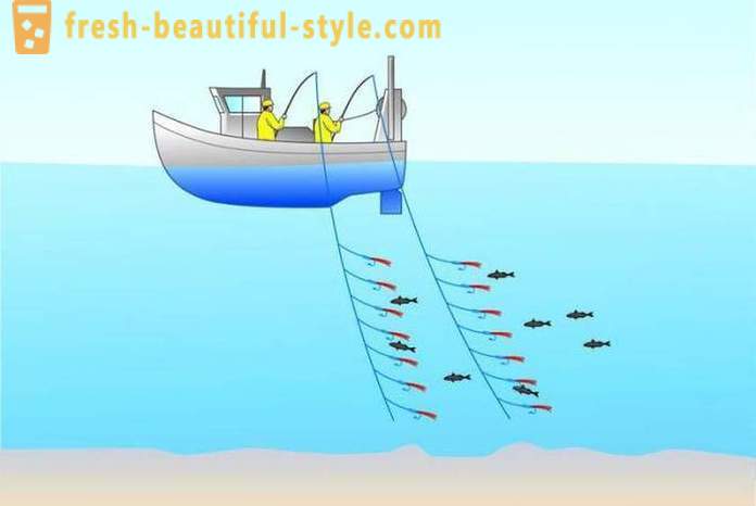 Тралене: риболов за начинаещи. Риболов тралене лодка