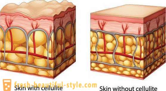 Как да изберем клетъчен крем: отзиви на клиенти и консултации козметици