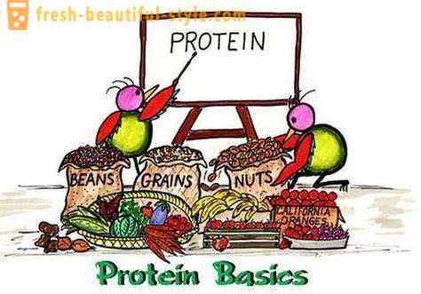 Какви са протеини? Кой и как да се протеин
