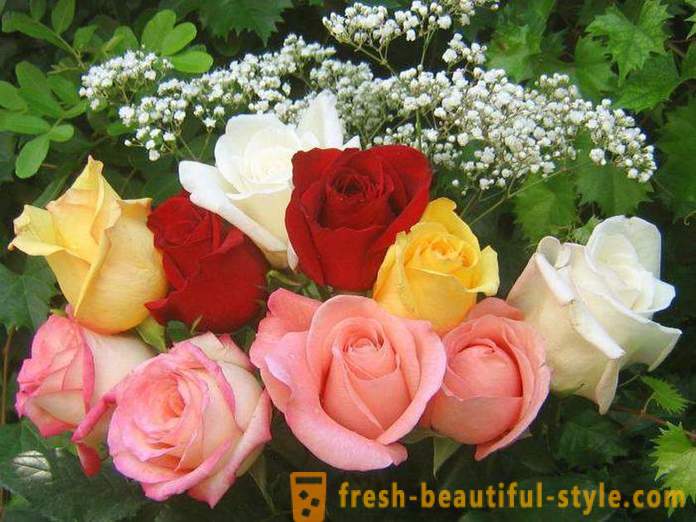 Букет от красиви рози в подарък