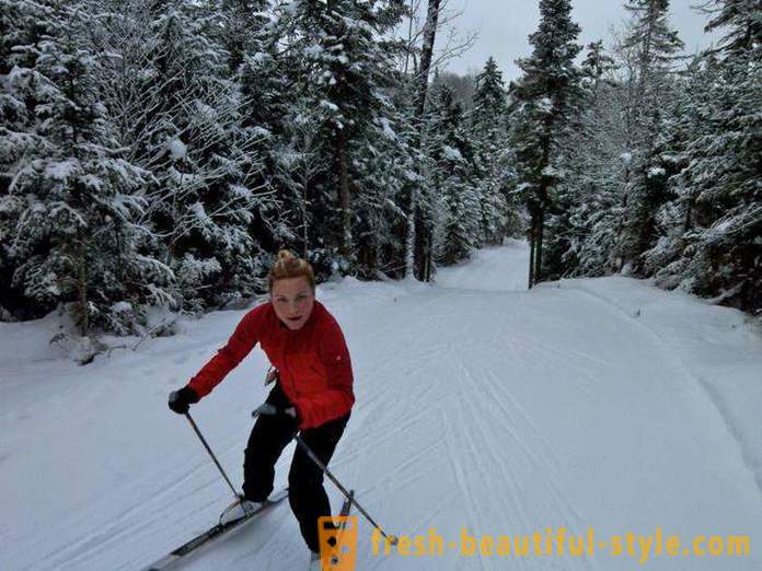 Как да изберем ски за кънки на курса: Съвети за начинаещи