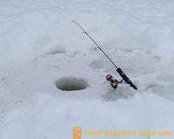 Вълнуващ риболова на шаран през зимата